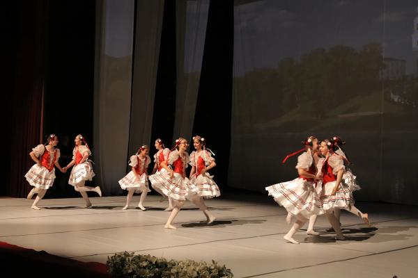 Dans Kursu